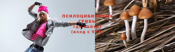 мет Верхний Тагил