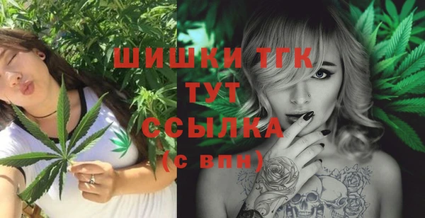 дмт Верея